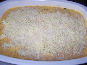 Gemuese-Cannelloni