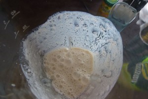 Mayo selber machen