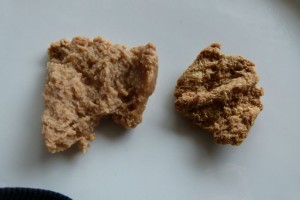 Sojaschnitzel